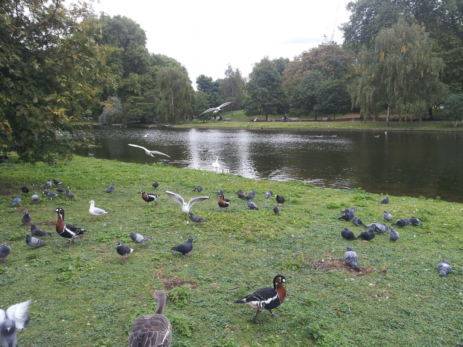 St JAMES'S PARK